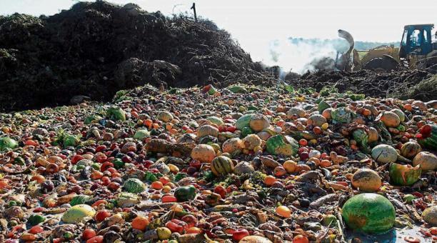 Desperdicio de alimentos: a nivel mundial, el 40% de los alimentos nunca son consumidos y terminan en la basura cada año